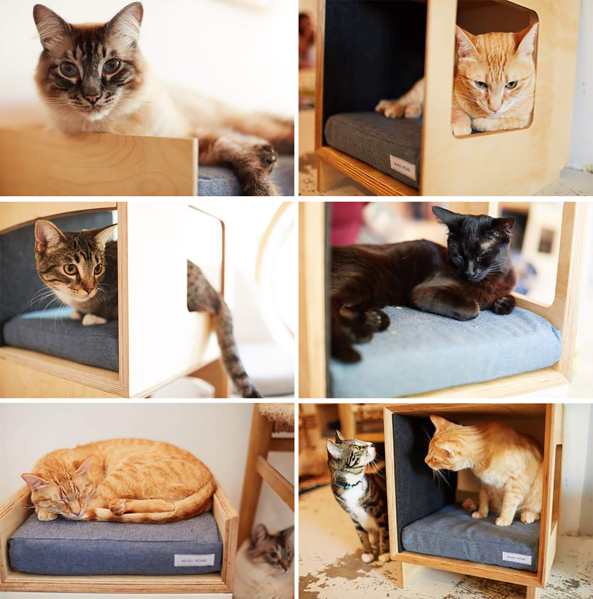 Mjau Home Modern Cat Furniture Beds, Trees, Towers, Hideaways