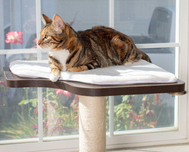 PetFusion’s Innovative New Cat Window Perch, Scratcher & Cat Tree