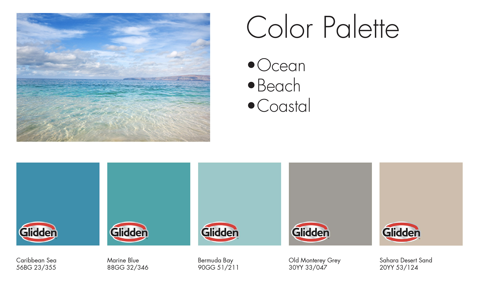 Coastal Beach Ocean Color Palette