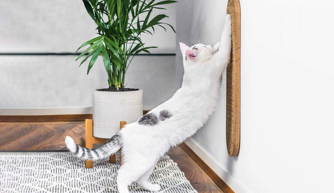 Sleek & Stylish Eco-friendly Cat Scratcher