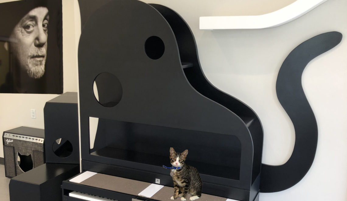 Shelter Catification Spotlight: Square Paws Designs Two Billy Joel-Themed Cat Rooms at North Shore Animal League America’s New Feline Adoption Center