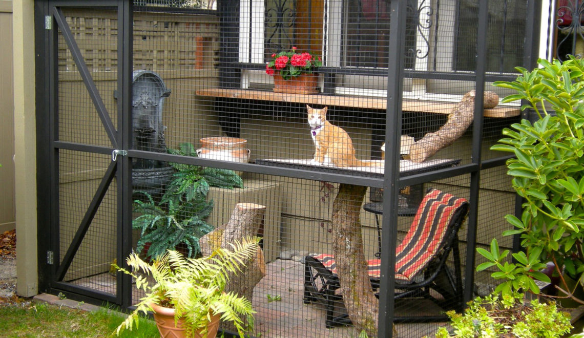 Incredible Catios by Catio Spaces in Seattle, Plus Special Discount on DIY Catio Plans!