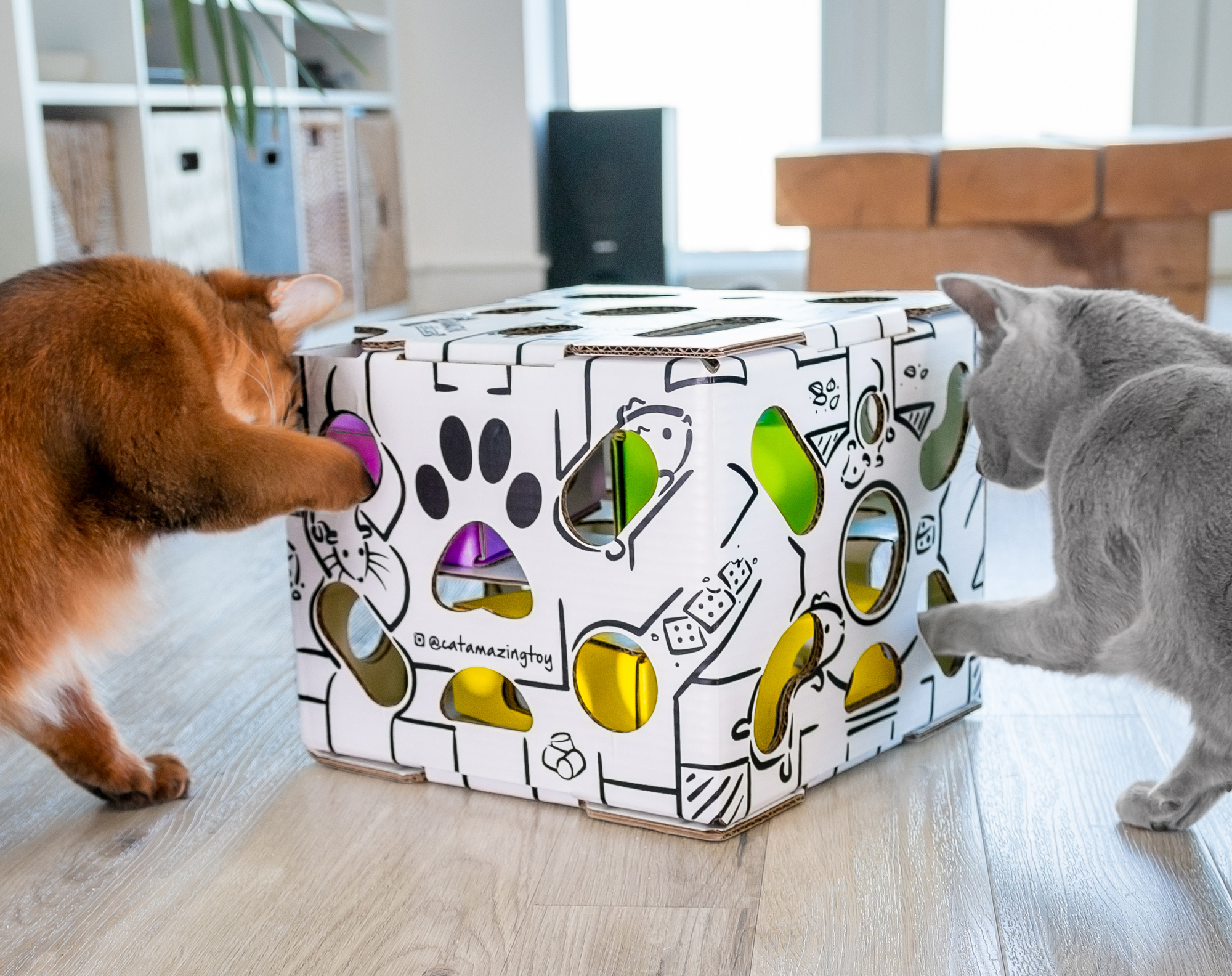 cat treat puzzle box