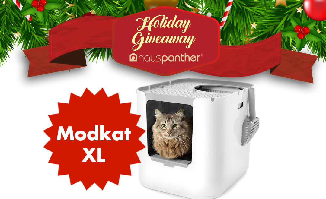 Enter to Win a Modkat XL Litter Box!