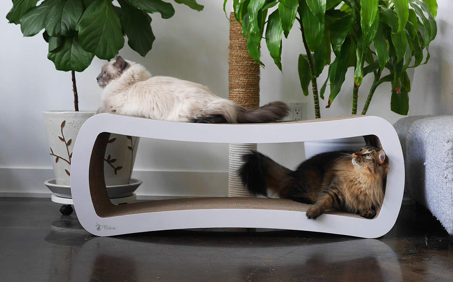 Petfusion jumbo cat scratcher sale