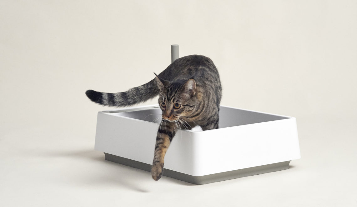 Cove Modern Litter Box: Breathtaking Beauty + Inspired Innovation