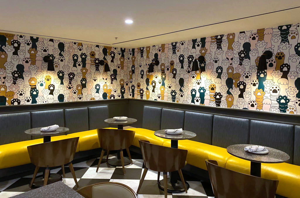 Gattara Denver Not a Cat Cafe, But a Bistro for Cat Lovers • hauspanther