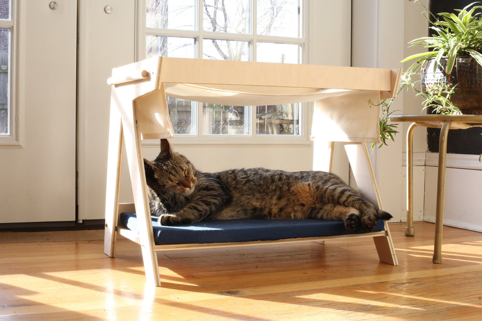 Mid-century Modern Inspired Cat Bunk Bed from Catlyco