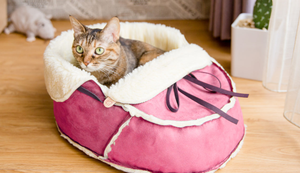 Cute & Colorful Moccasin Cat Bed
