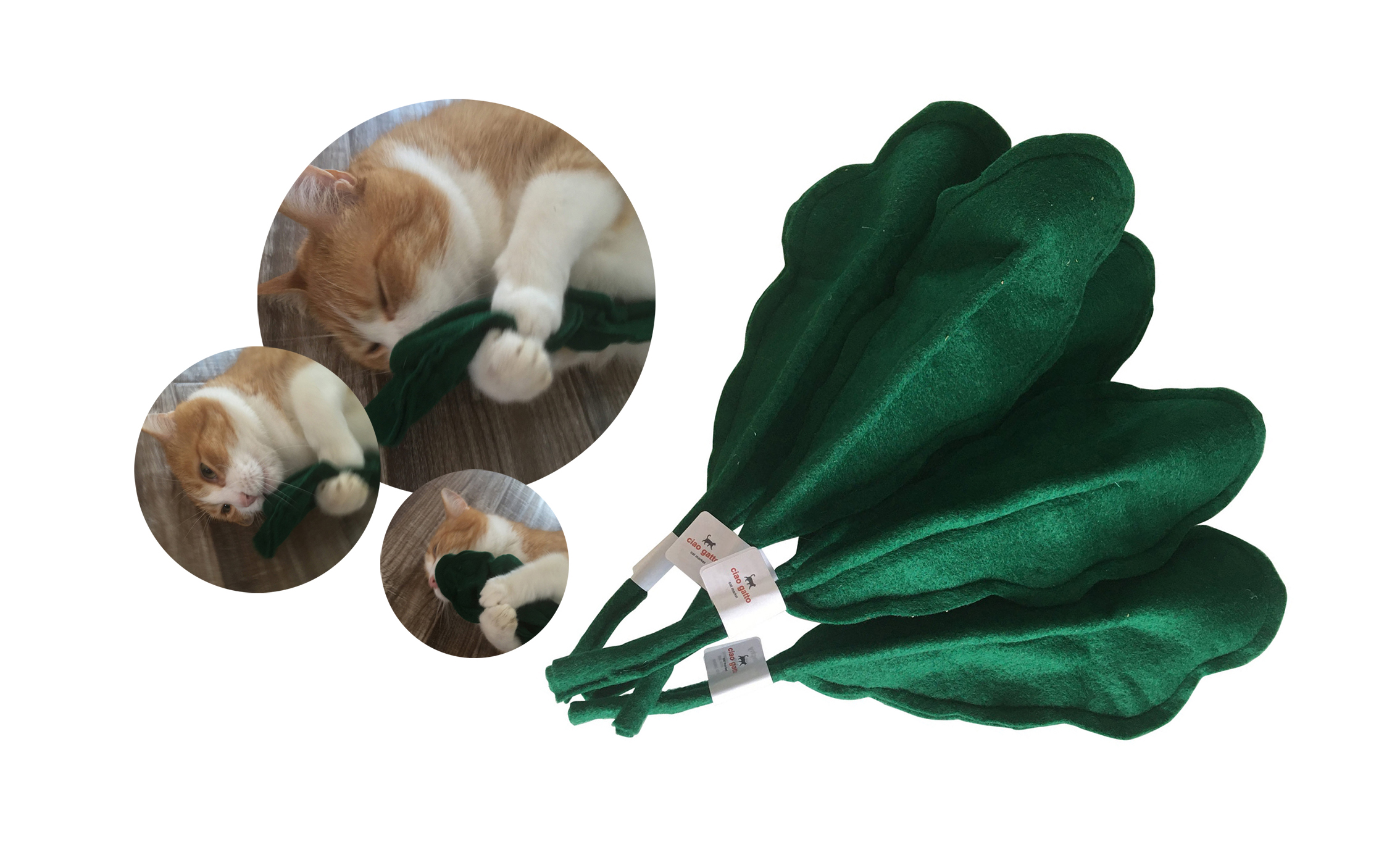 kale chew toy