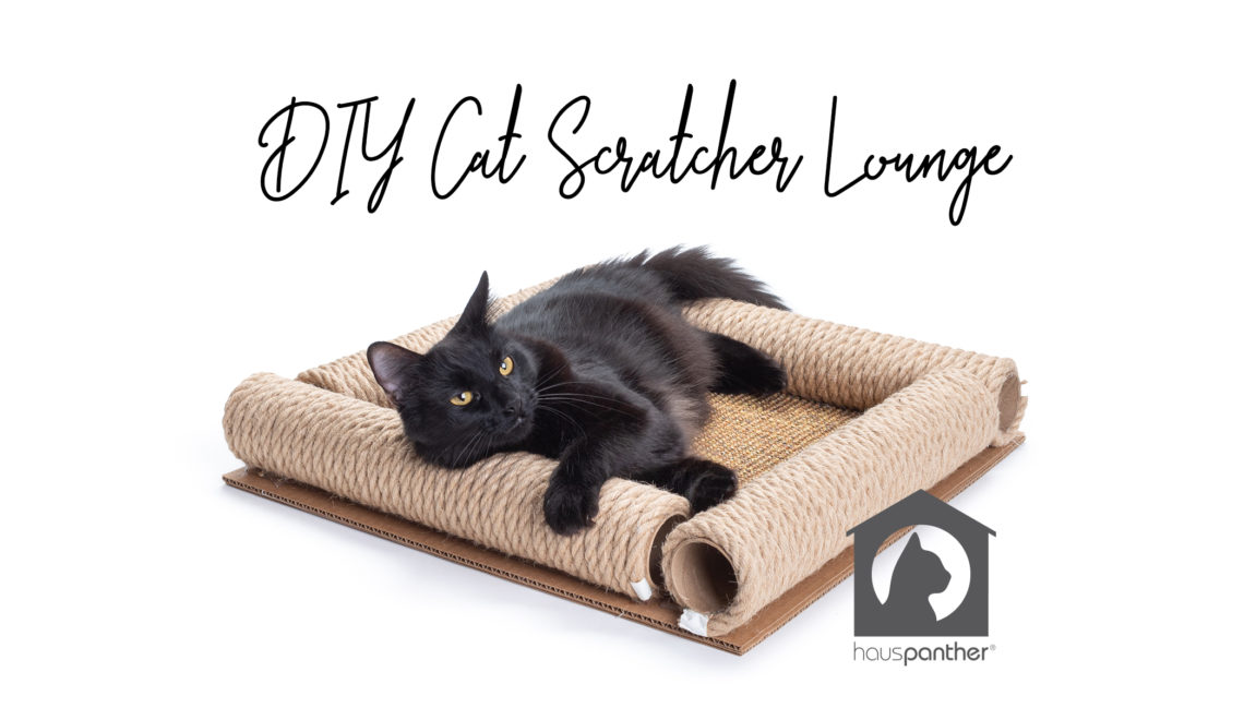 Cat Camp Arts & Crafts: DIY Cat Scratcher Lounge