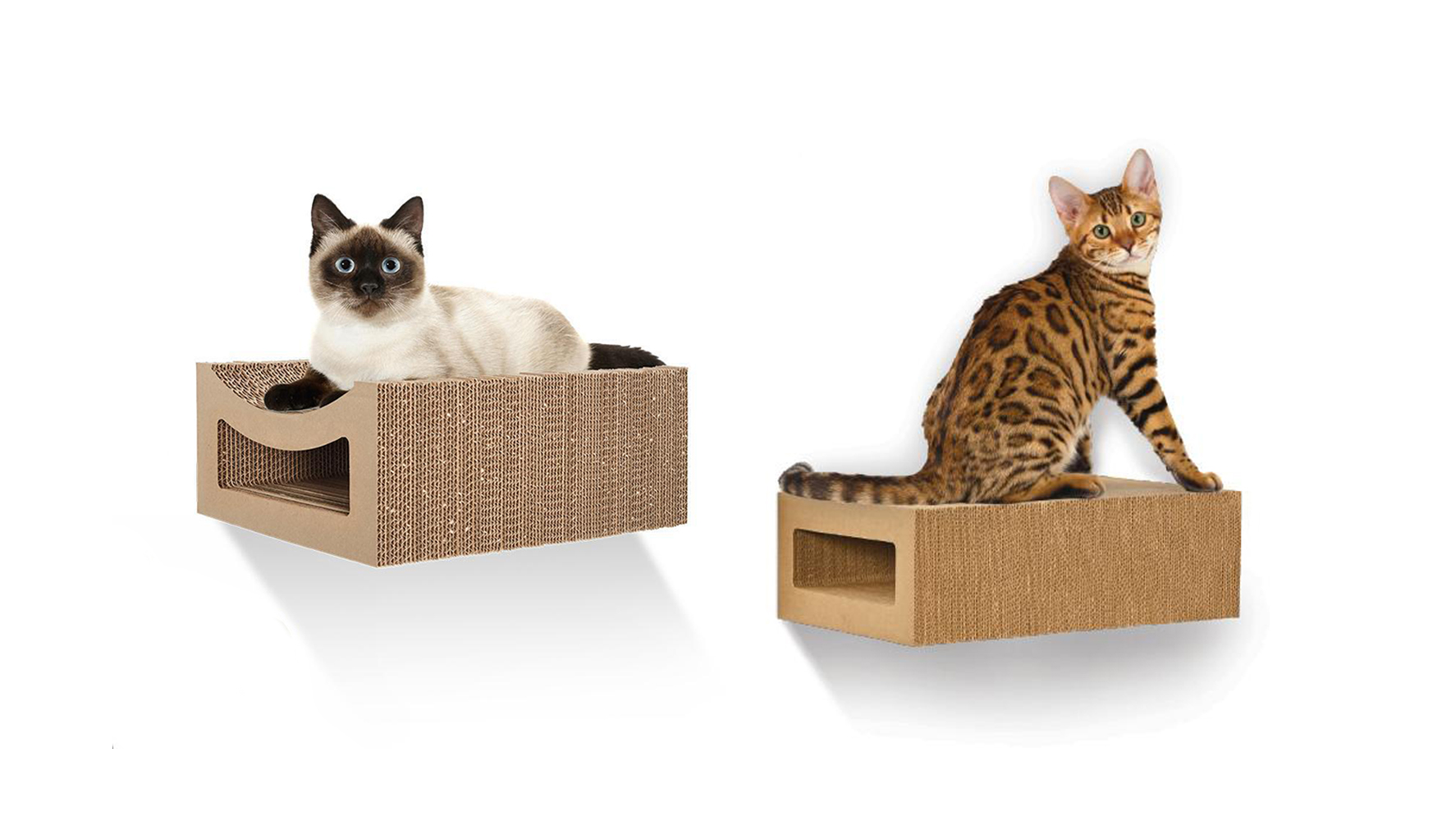 Hangman Wallmounted Cat Perches