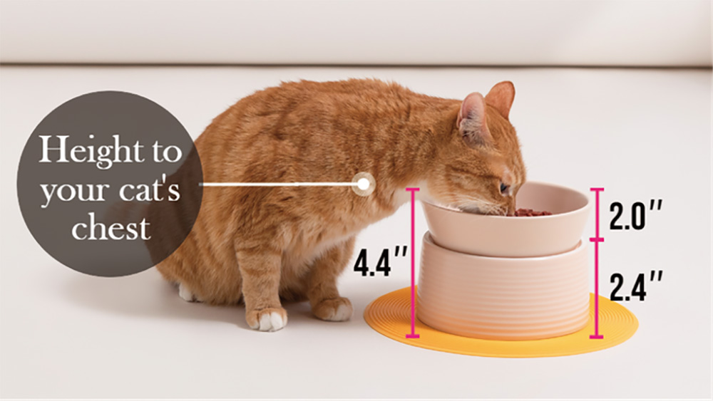 Macaron Raised Ceramic Cat Dish Helps Cats Eat with Better Posture