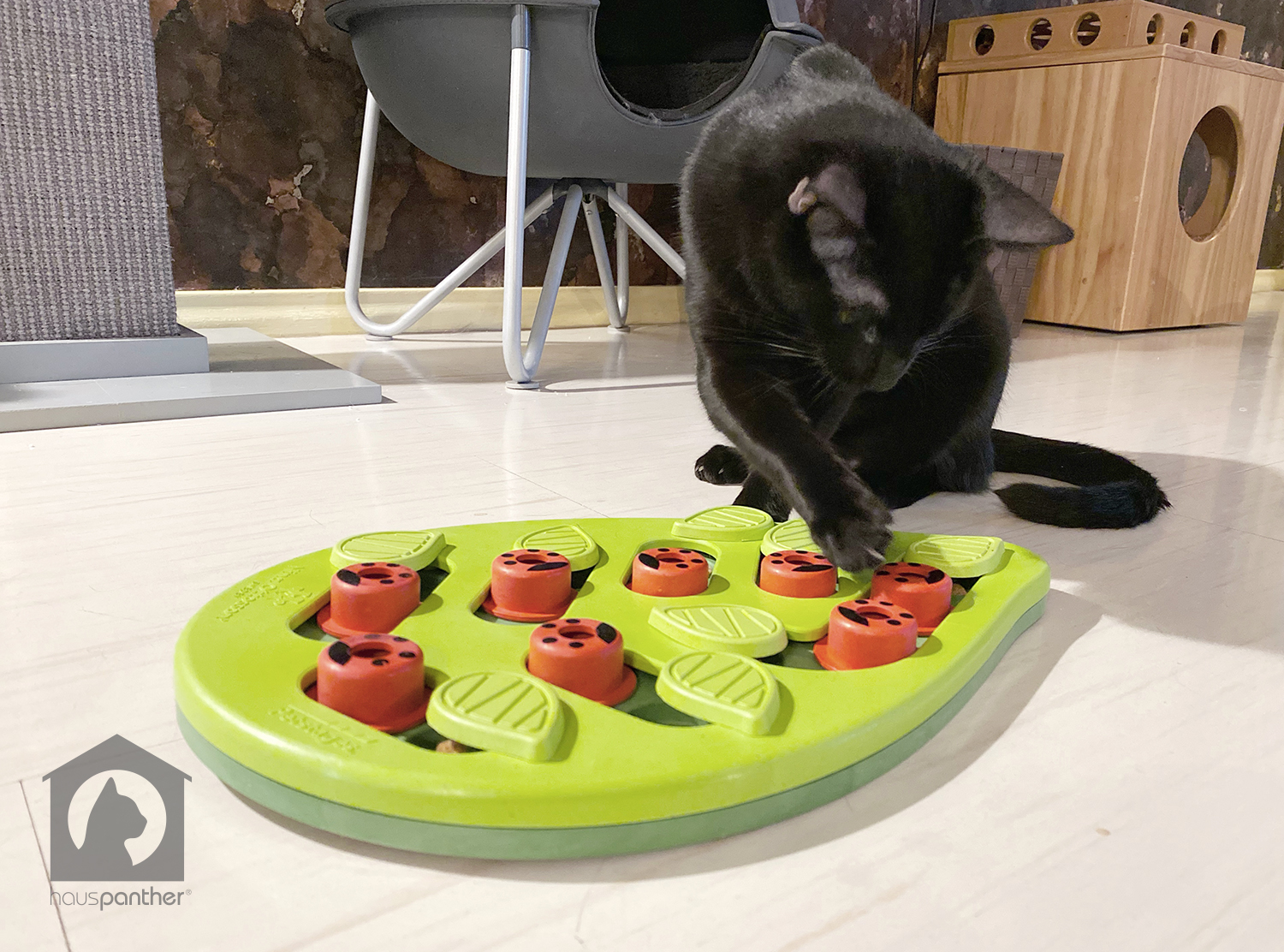 Nina Ottosson Cat Puzzles Review: High-Quality Interactive Cat Toys