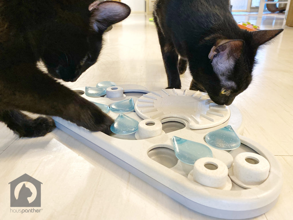 Nina Ottosson Treat Puzzles to Challenge Your Cat • hauspanther