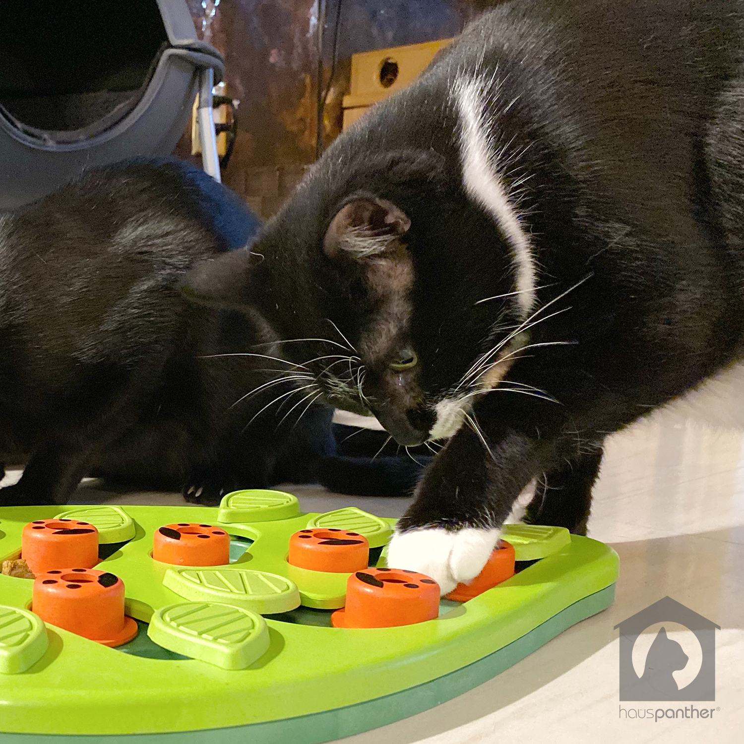 Nina Ottosson Cat Puzzles Review: High-Quality Interactive Cat Toys