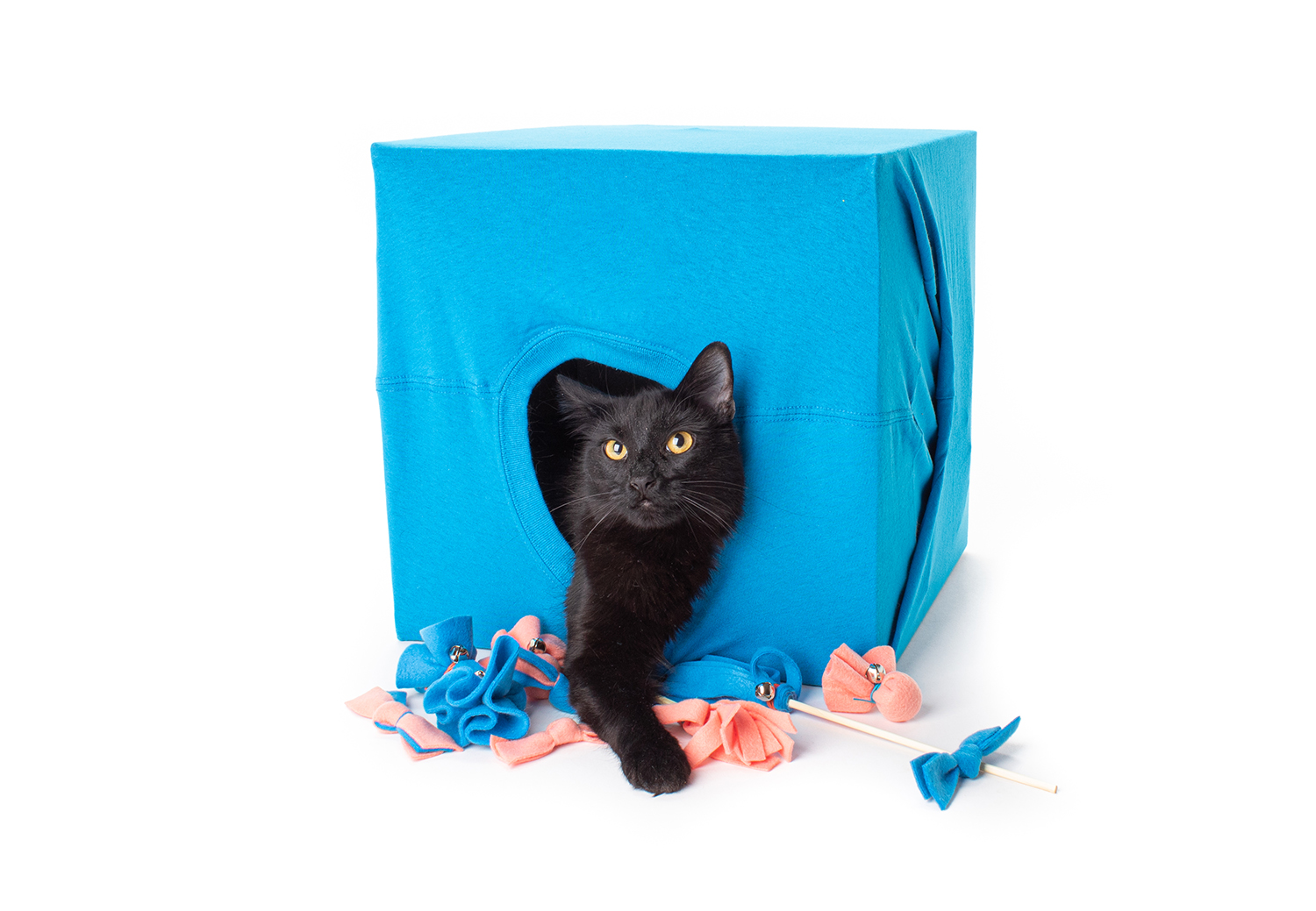 DIY Foster Cat Kit 5 Easy Catification Projects Every Foster Cat Needs! • hauspanther