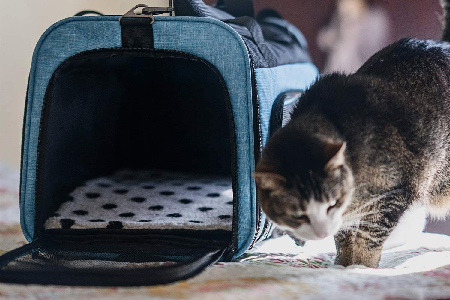 Lil Paws 5in1 Cat Carrier Transforms from Shoulder Bag to Backpack