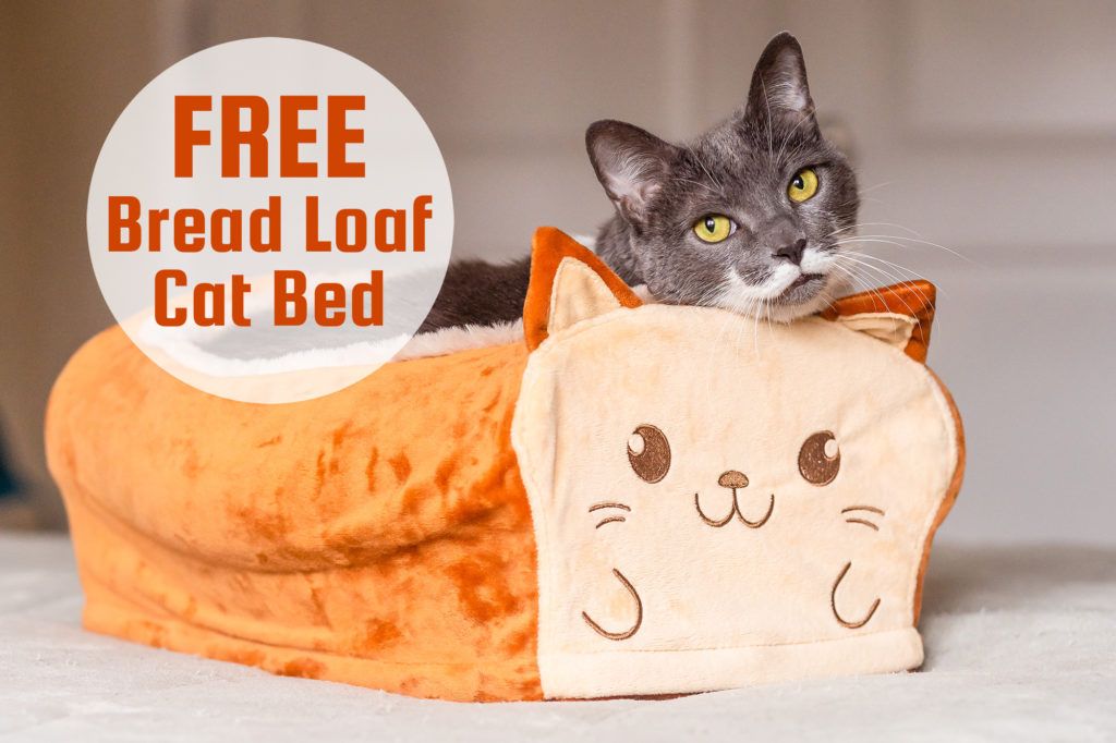 Get a FREE Bread Loaf Cat Bed with Purchase of a ToastyCat Bundle