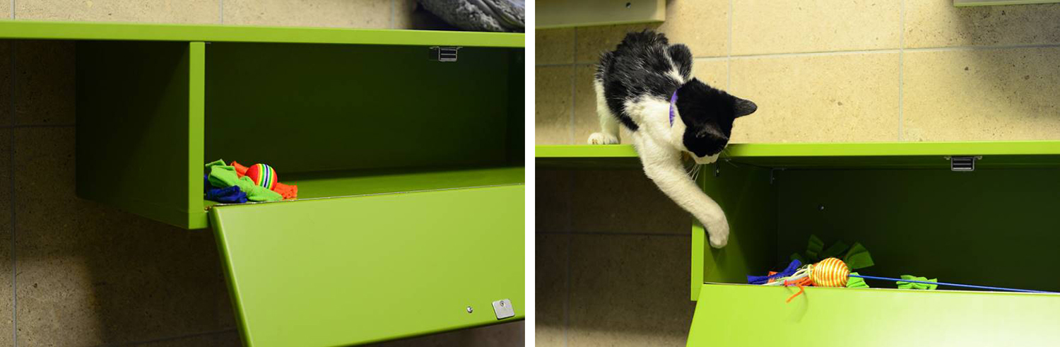 Shelter Cat Toy Storage at Denver Dumb Friends League - Shelter Catification