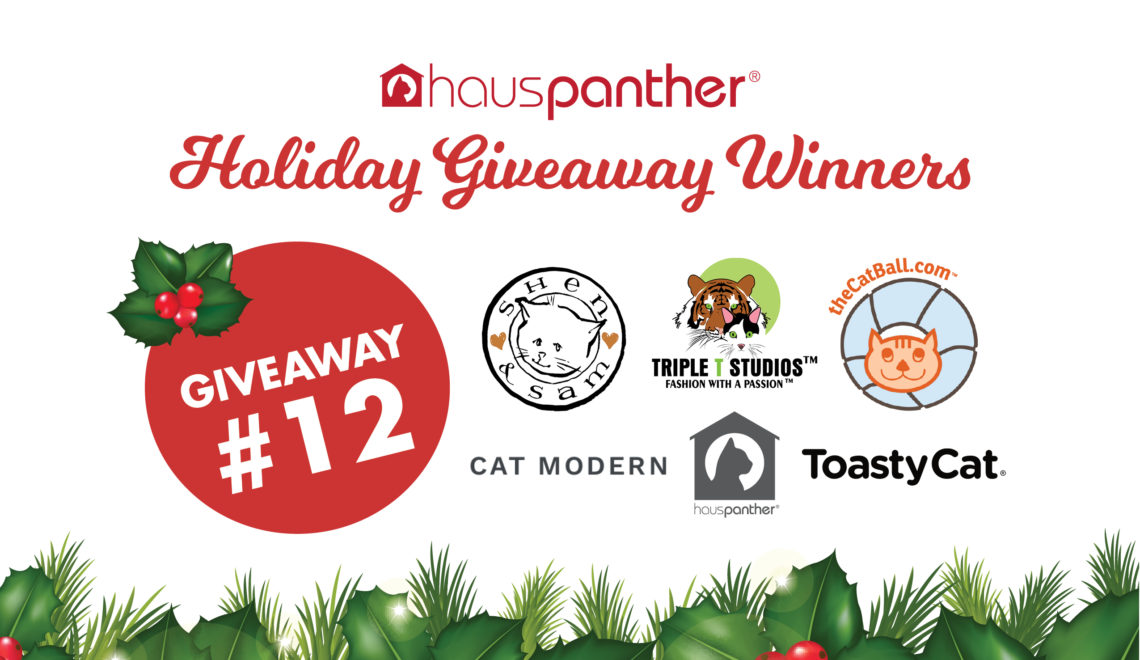 Holiday Giveaway 12 Winners