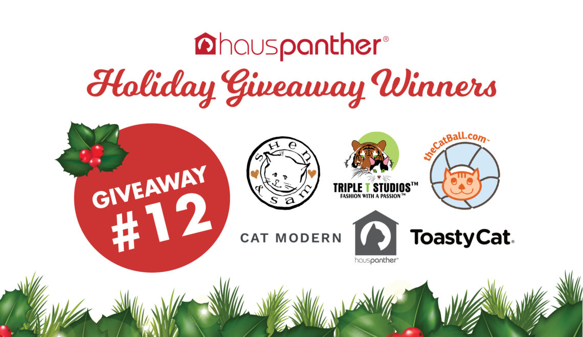 Holiday Giveaway 12 Winners