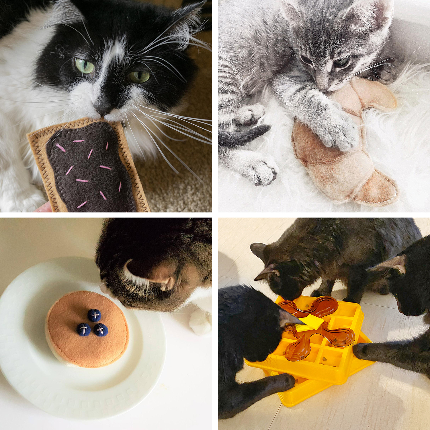 Cute cats playing with breakfast food cat toys