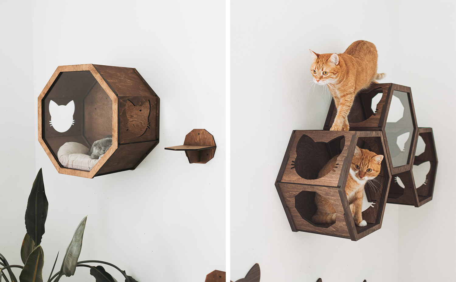 Octagonal and hexagonal cat wall climbers