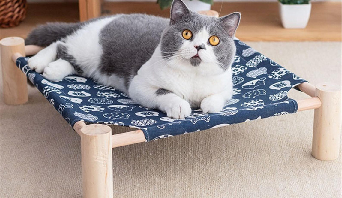 Cozy Elevated Cat Hammock