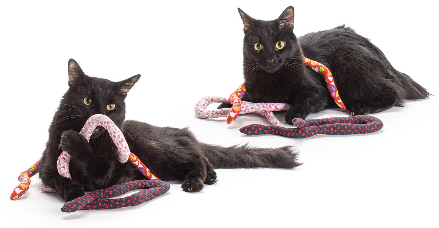 Black Cats with Catnip Snake Cat Toys