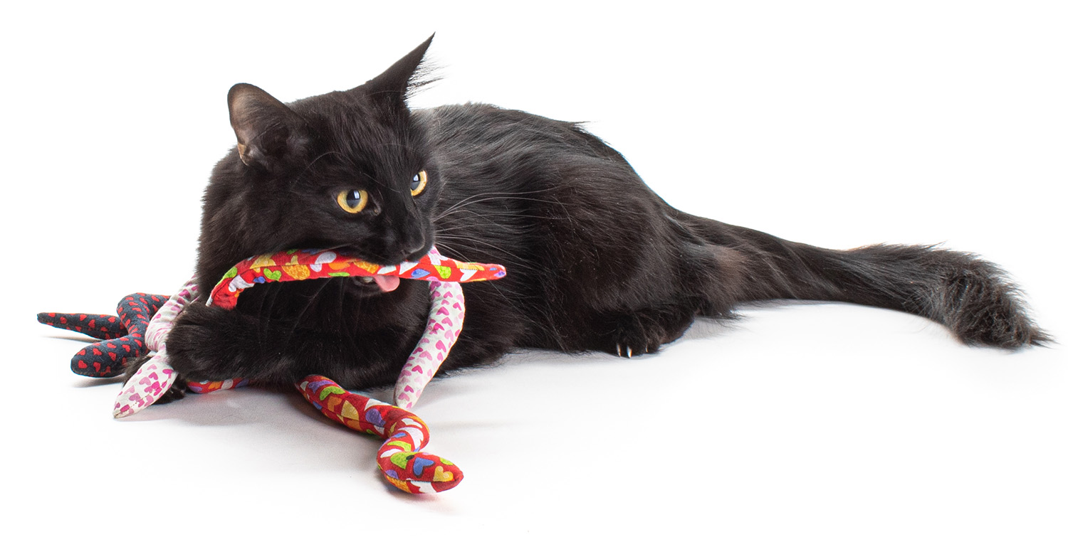 Cat Licking Catnip Snake Cat Toy