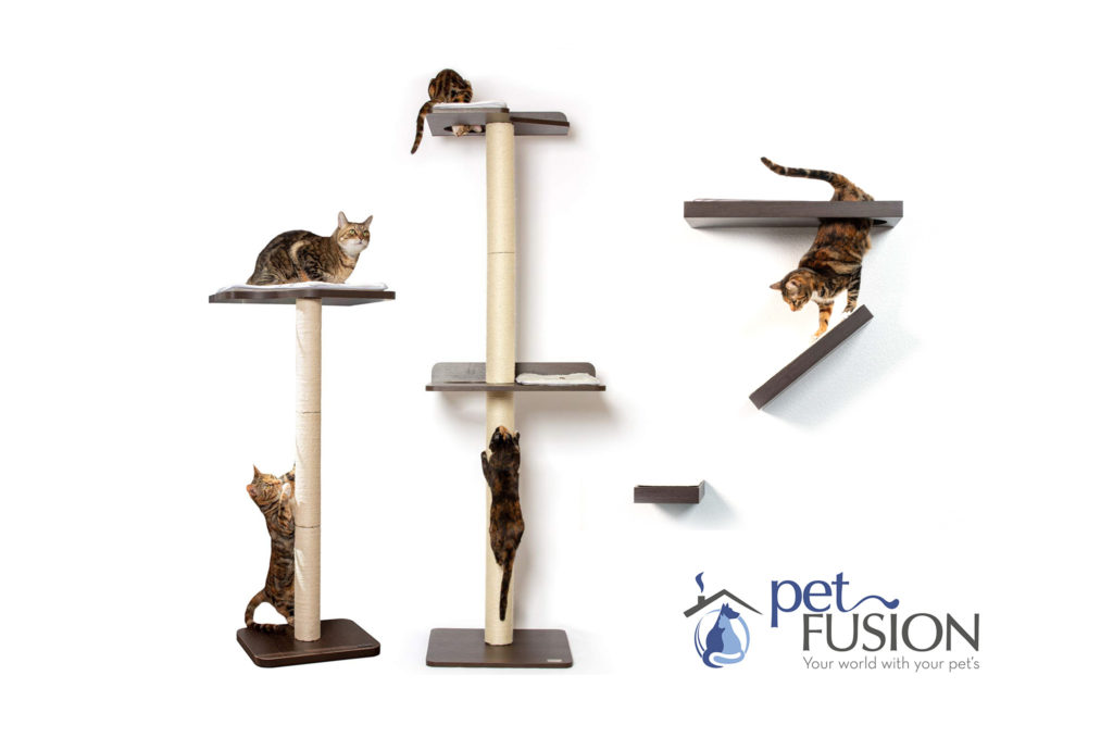 Contemporary Cat Climbers from PetFusion