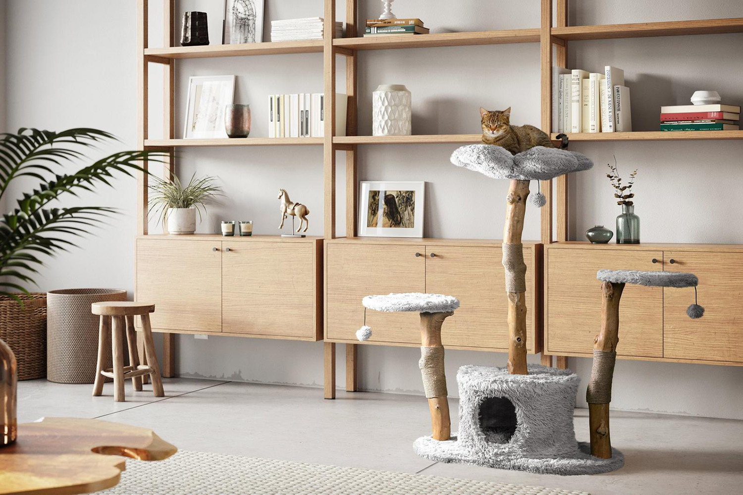 Modern cat trees made with natural wood trunks