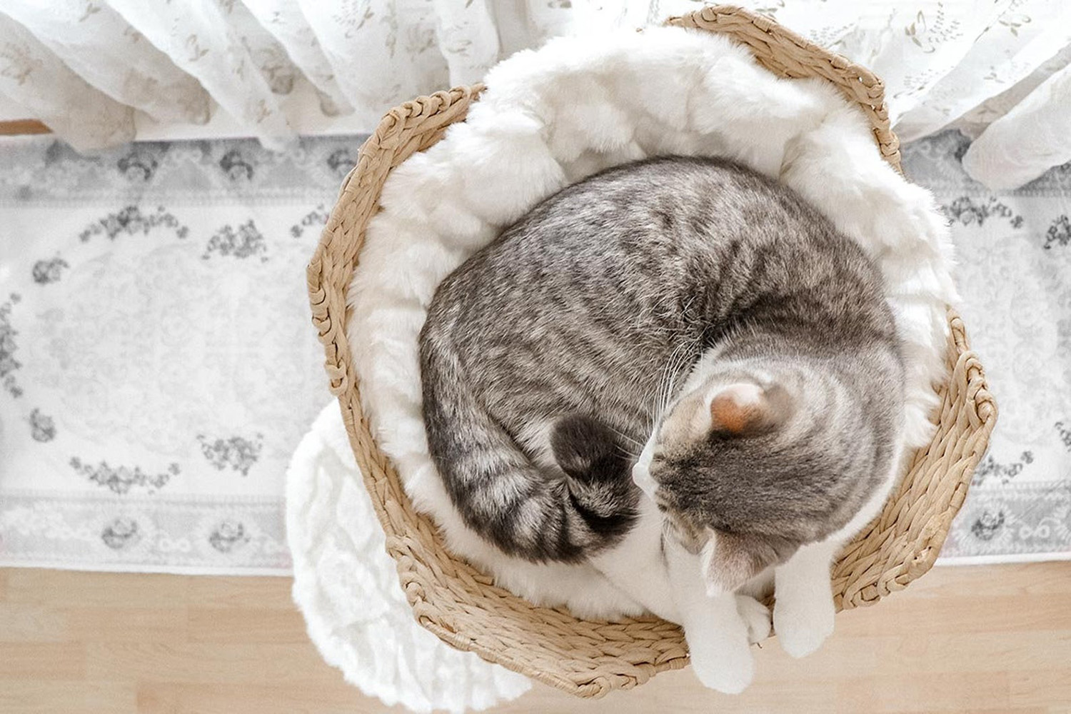 Cat sleeping in woven basket on modern cat tower
