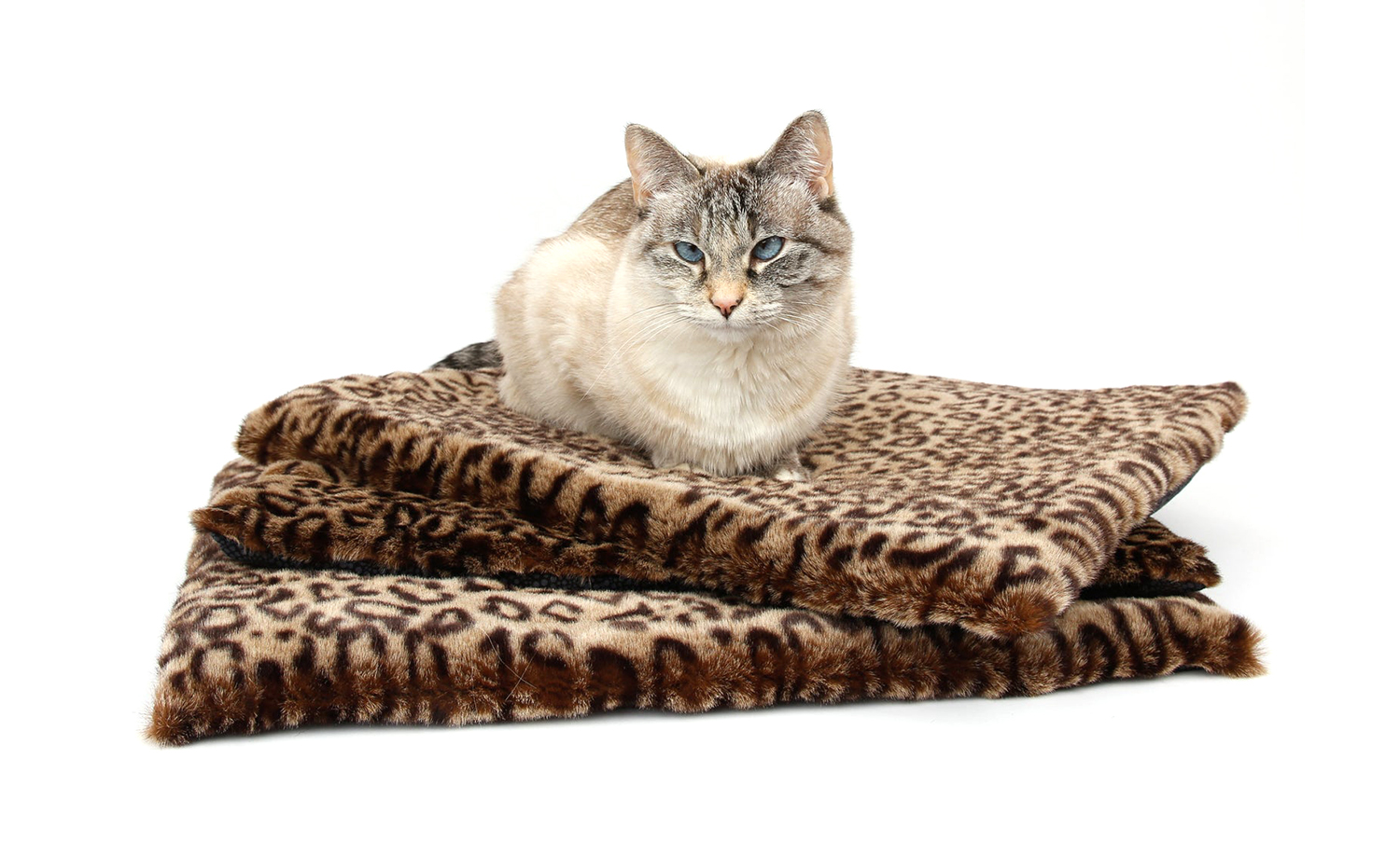 Luxury Faux Fur Cat Sleeping Mat Leopard Print