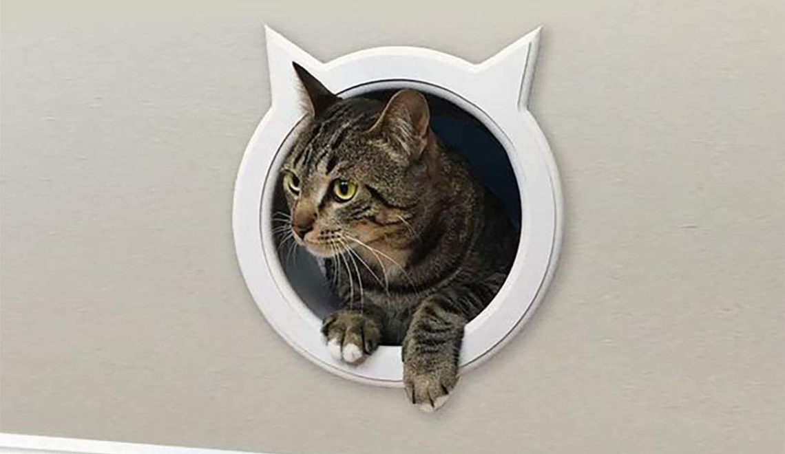 New Options from The Kitty Pass Interior Cat Door Make DIY Catification Easy!