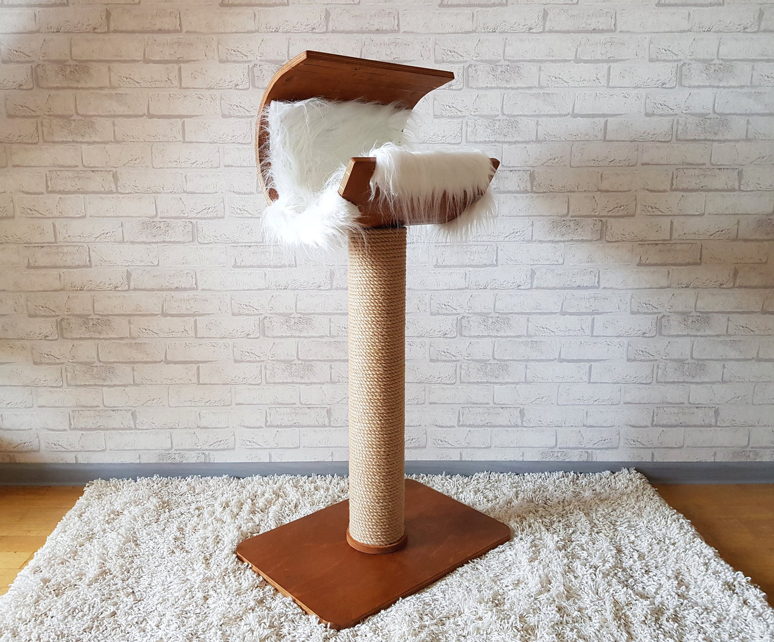 Elegant cured modern cat bed on raised pedestal