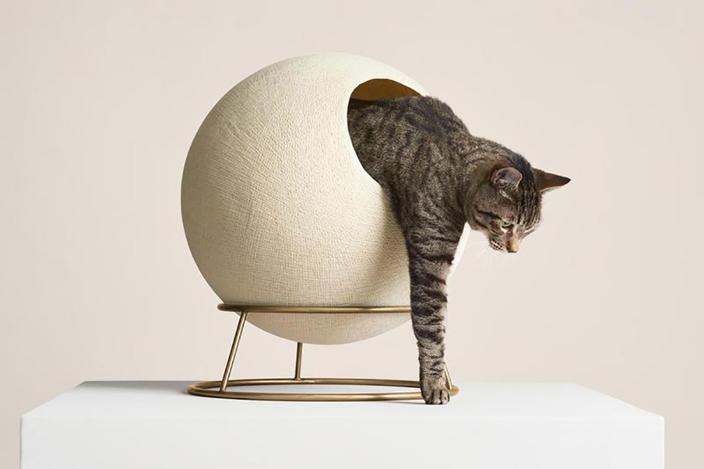 Spherical Modern Raised Cat Bed