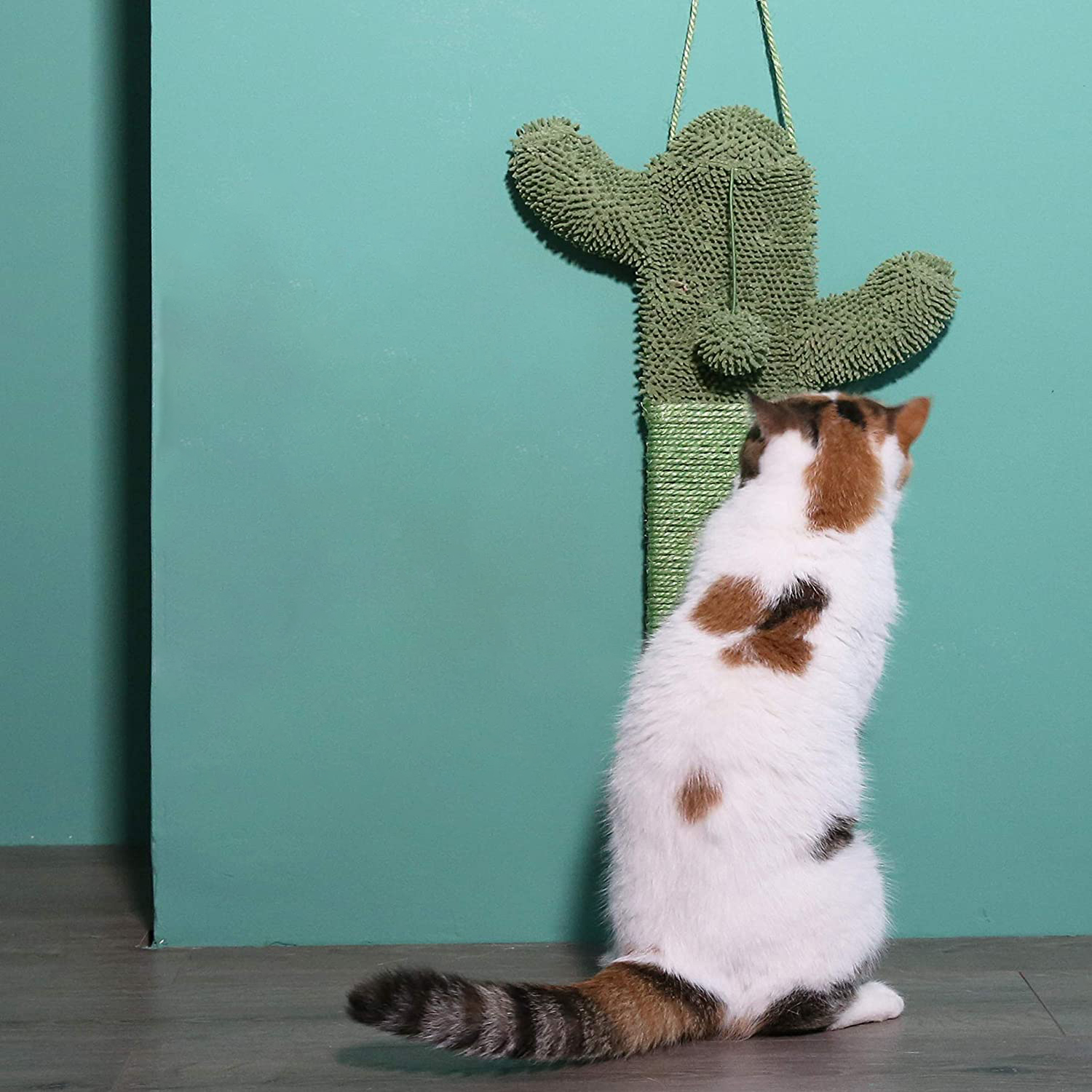 Door-hanging cactus cat scratcher