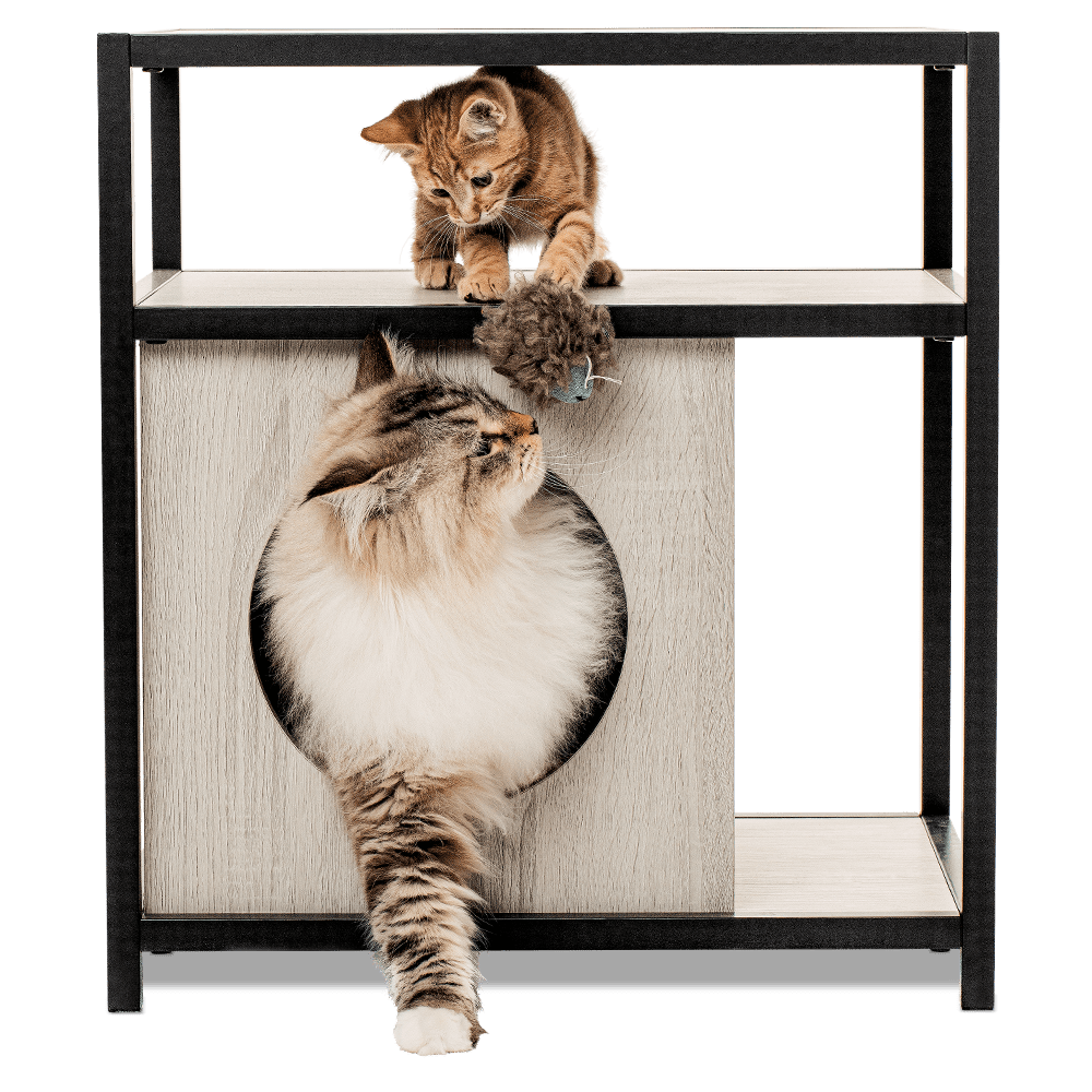 Multi-functional cat side table with hideaway and modern styling