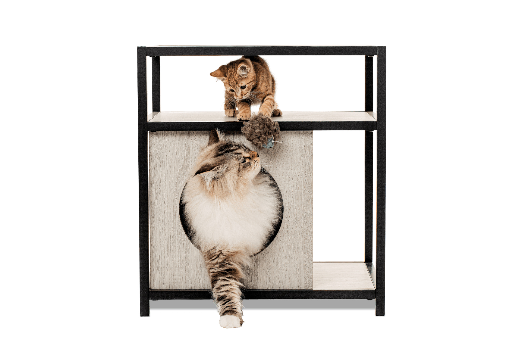 MultiFunctional Modern Cat Side Table