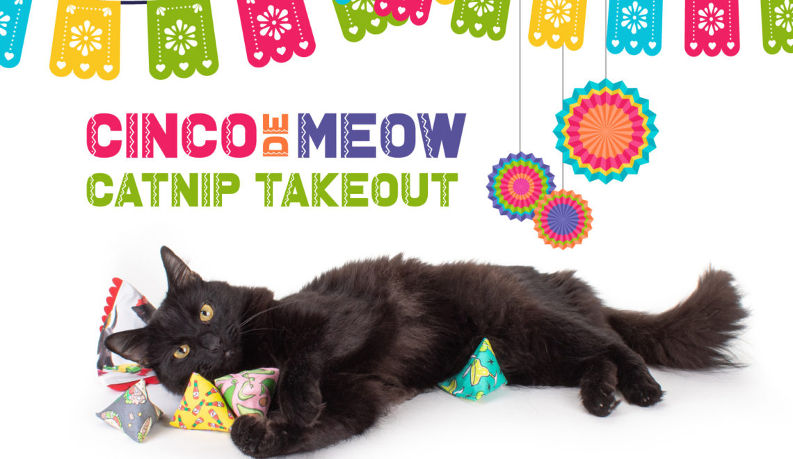 Celebrate Cinco de Meow with Catnip Takeout!