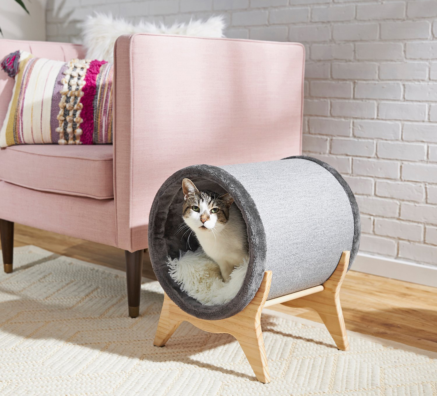 Sitting Pretty in a Modern Raised Cat Bed