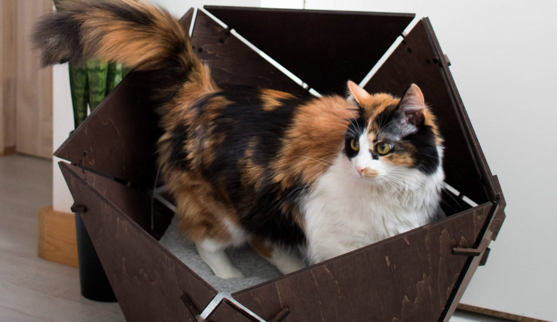 Modern Geometric Cat Cave