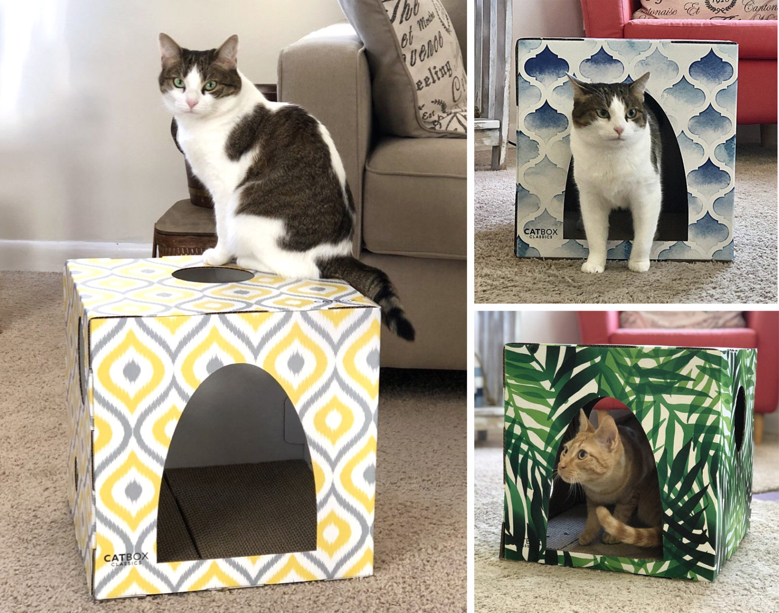 Make Your Cat Part of a Masterpiece with Cat Box Classics • hauspanther