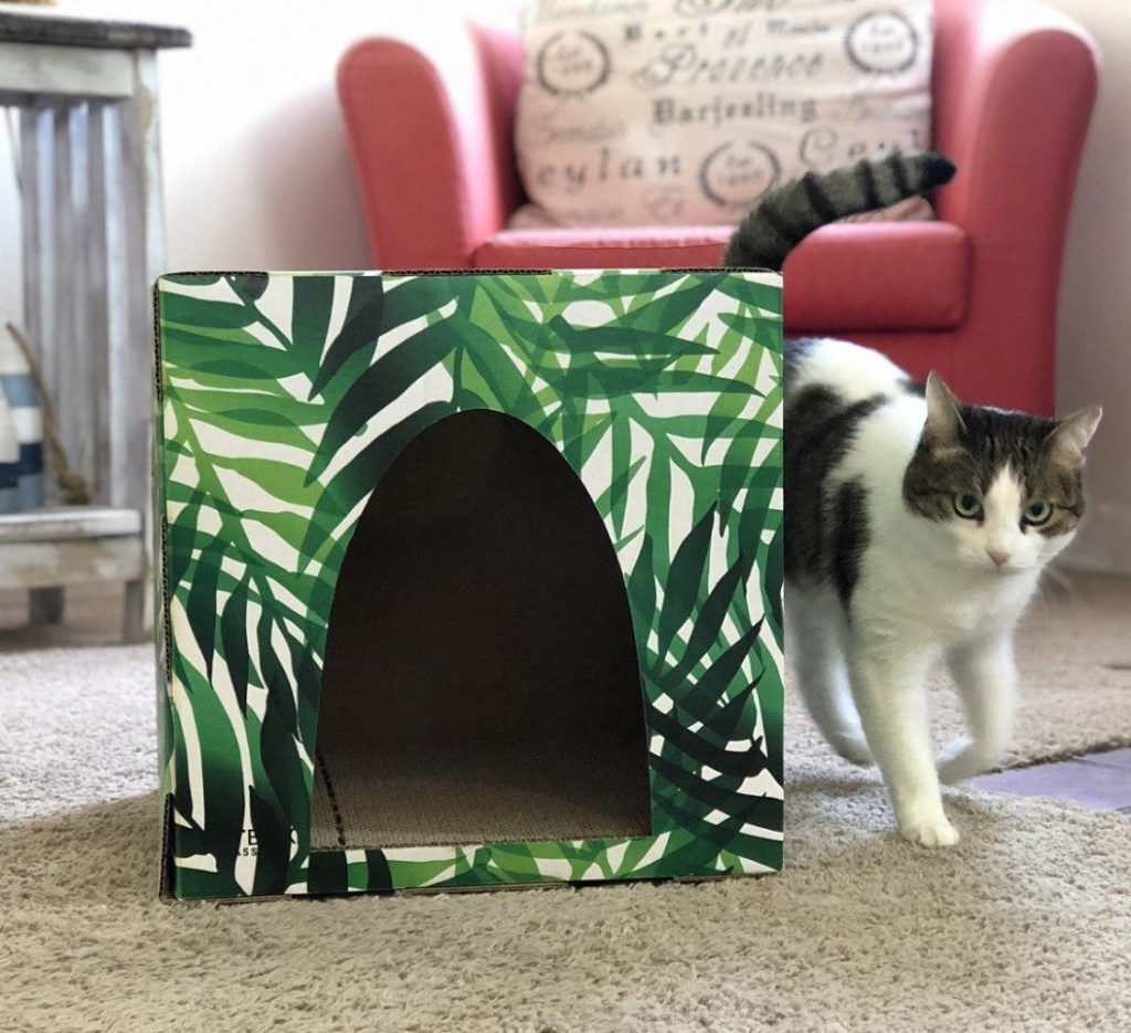 Make Your Cat Part of a Masterpiece with Cat Box Classics • hauspanther