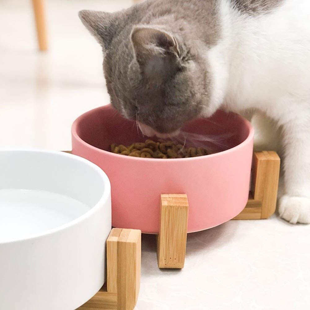 Raised Ceramic Cat Bowl with Wooden Frame