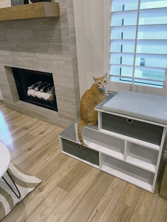PetFusion Pet Step Window Perch Gives Cats a Perfect View • hauspanther