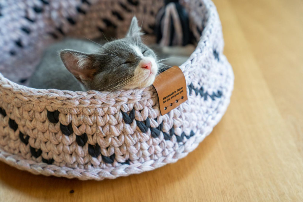 Sweet Dream Cat Baskets • hauspanther