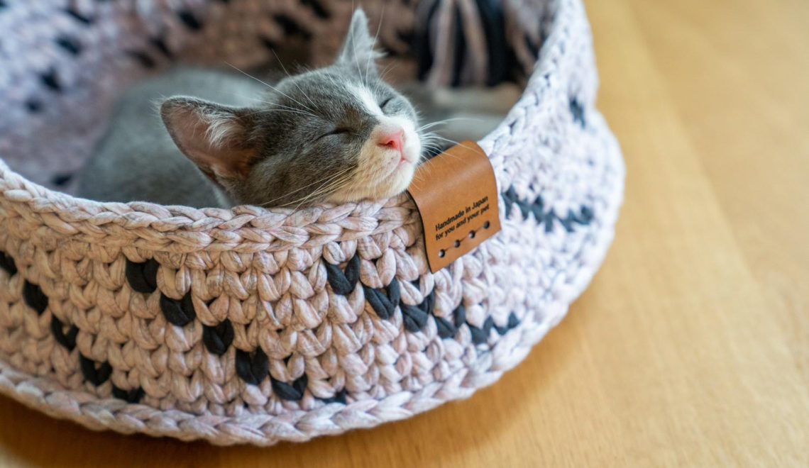 Sweet Dream Cat Baskets